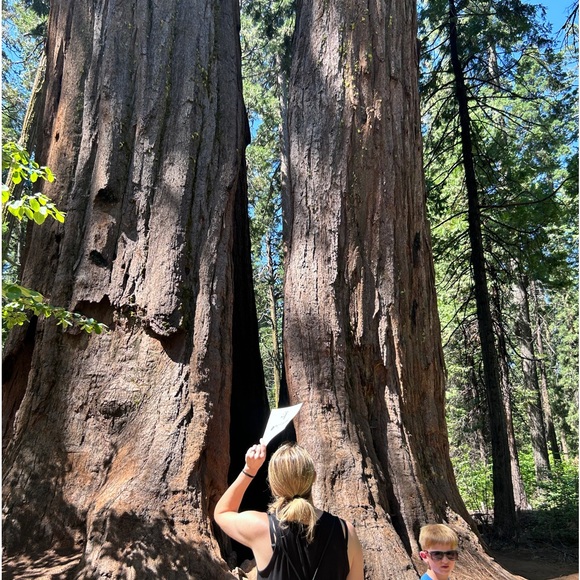 Meet your Posher, Sheila - Picture 12 of 15